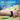 Gaming-Brook Auto Catch Watchic Plus for Pokemon Go