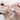 Pet Accessories-150 Wipes15cm x 20cmAlcohol Free AST Pet Animal Cleaning Soft Wipes With Aloe & Vitamin E